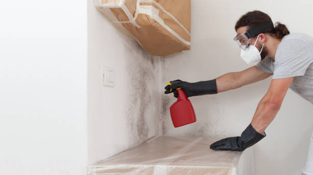 Professional Basement Mold Remediation technician working in Boiling Springs, PA