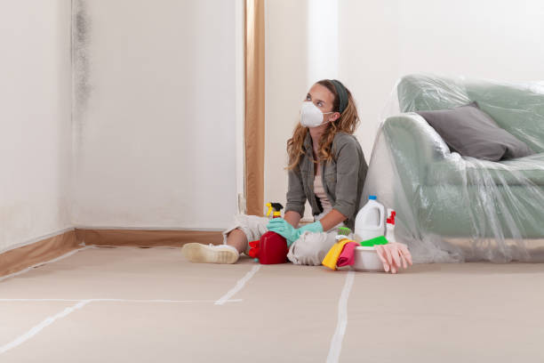 Reliable Basement Mold Remediation contractor in Boiling Springs, PA by WQB Mold Removal